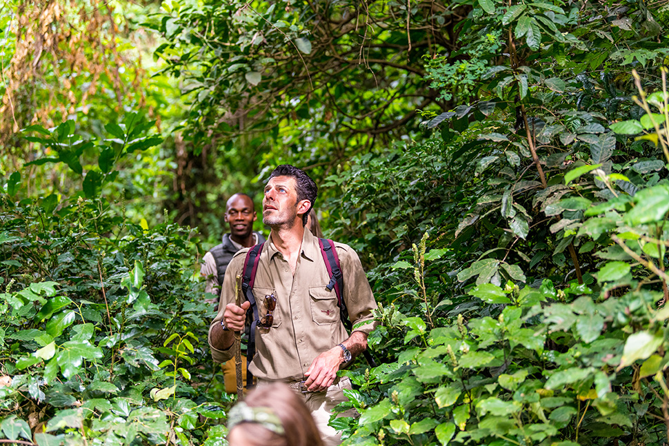 Arumeru River Lodge thumbnail 8